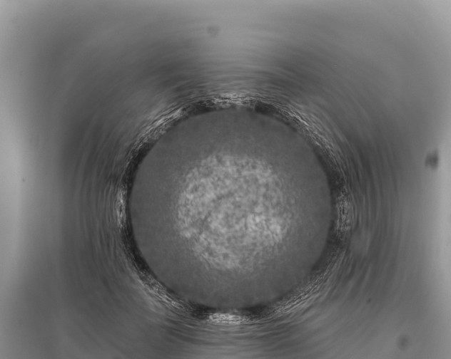 X0000096170699200801251151