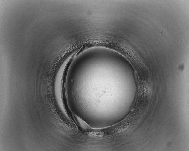 X0000096170700200801251151