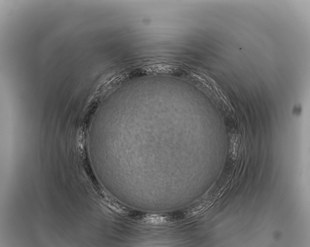 X0000096170701200801251151