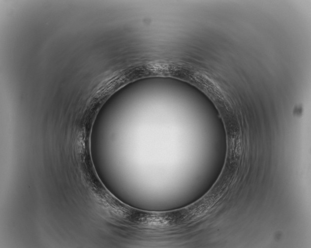 X0000096170702200801251151