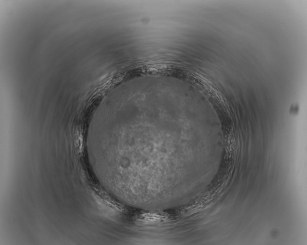 X0000096170703200801251151