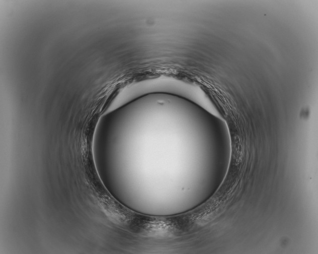 X0000096170704200801251151