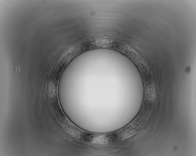 X0000096170705200801251151