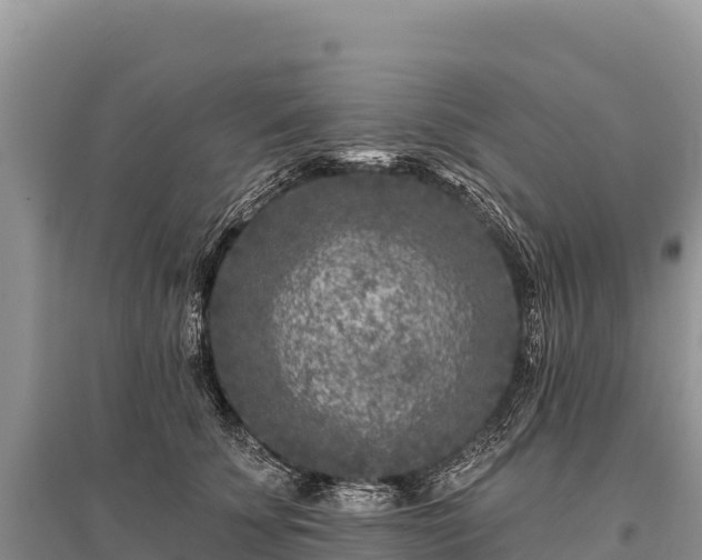 X0000096170707200801251151