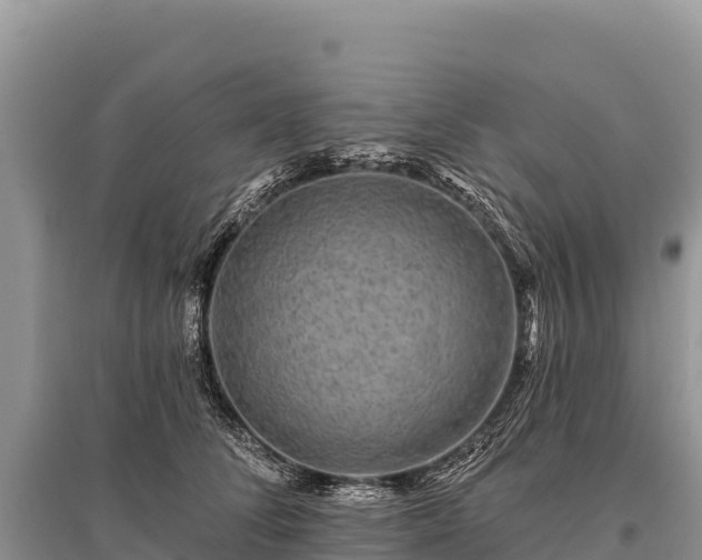 X0000096170708200801251151