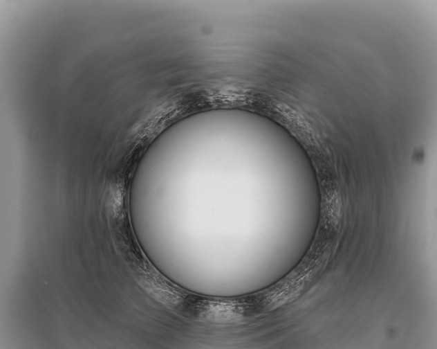 X0000096170709200801251151