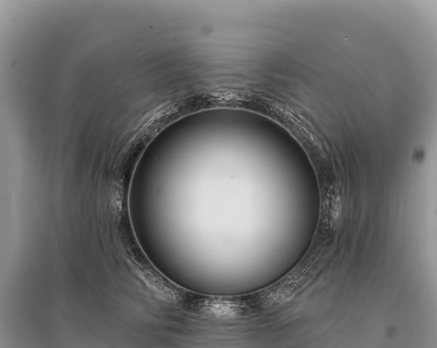 X0000096170710200801251151