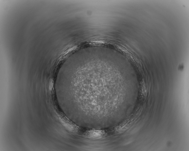 X0000096170711200801251151