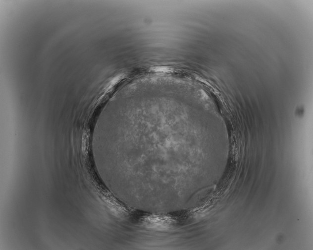 X0000096170712200801251151