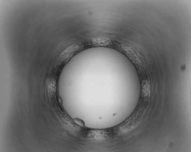 X0000096170713200801251151