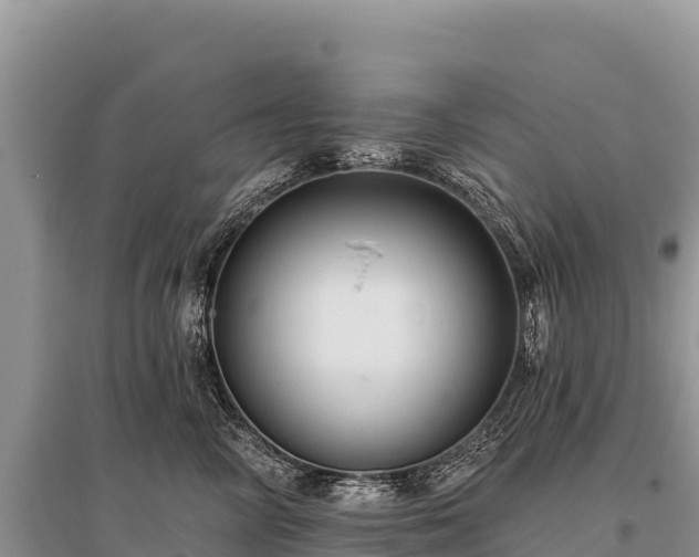 X0000096170714200801251151