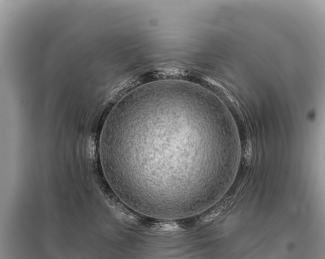 X0000096170715200801251151