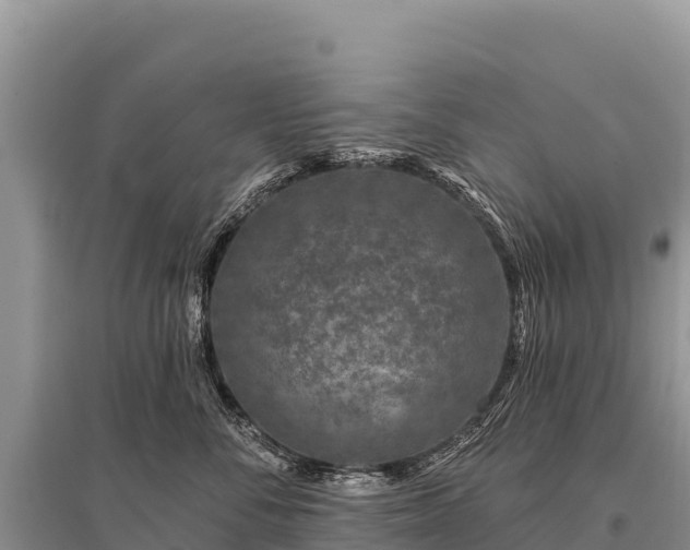 X0000096170716200801251151