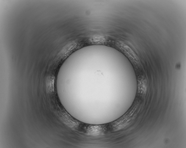 X0000096170717200801251151