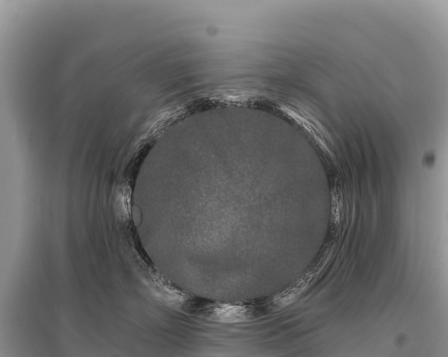 X0000096170718200801251150