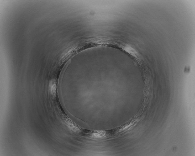 X0000096170720200801251150