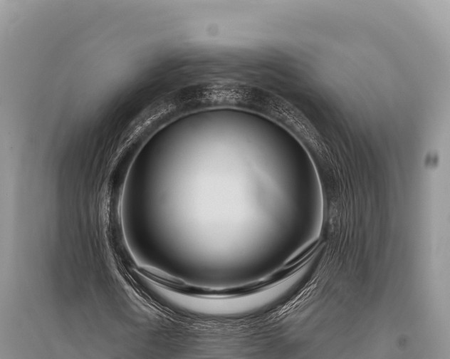 X0000096170722200801251150