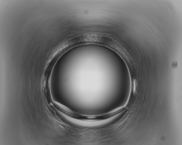 X0000096170723200801251150