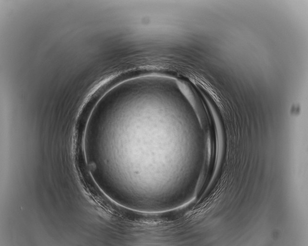 X0000096170724200801251150