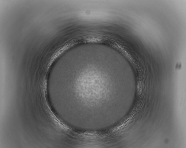 X0000096170725200801251150