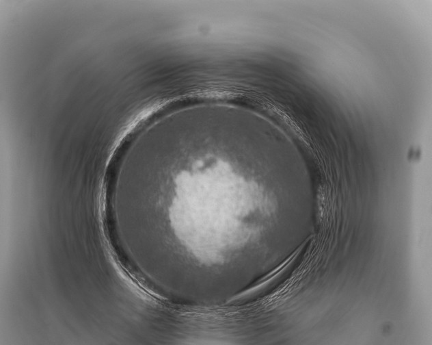 X0000096170726200801251150