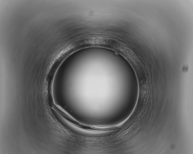 X0000096170727200801251150