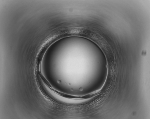 X0000096170728200801251150