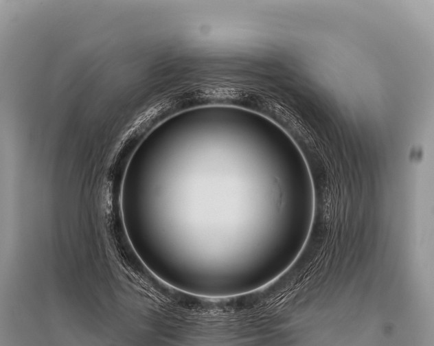 X0000096170731200801251150