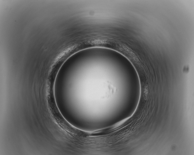 X0000096170732200801251150