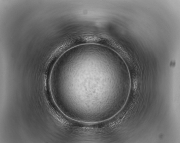 X0000096170733200801251150