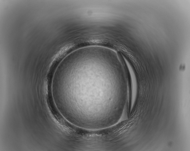 X0000096170734200801251150