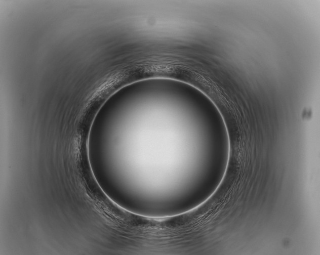 X0000096170735200801251150