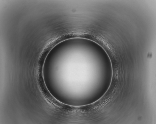 X0000096170736200801251150