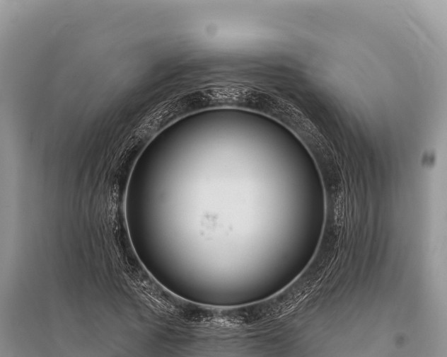 X0000096170737200801251150