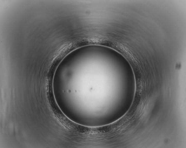 X0000096170738200801251150