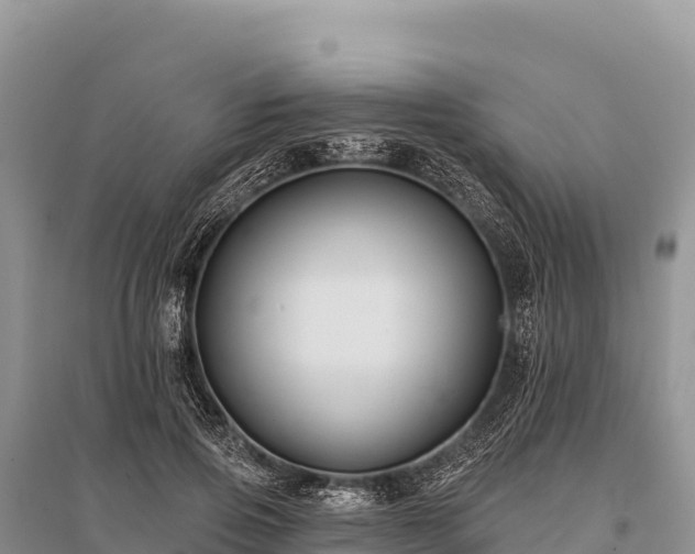 X0000096170741200801251150