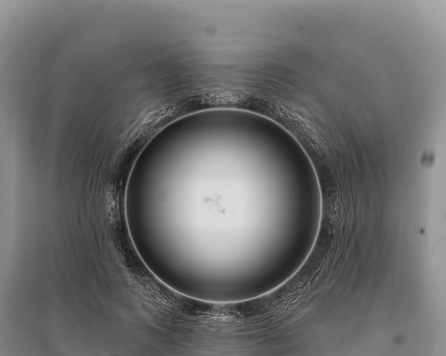 X0000096170743200801251150