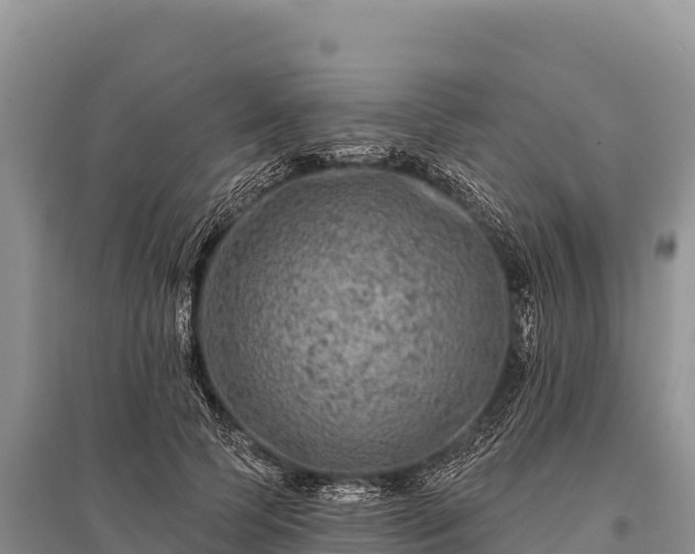 X0000096170745200801251150