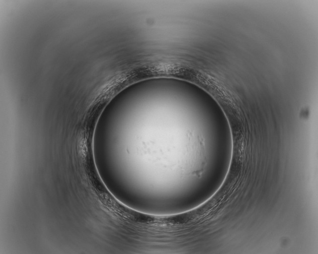 X0000096170746200801251150