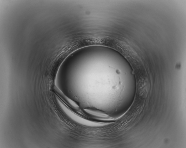 X0000096170747200801251150