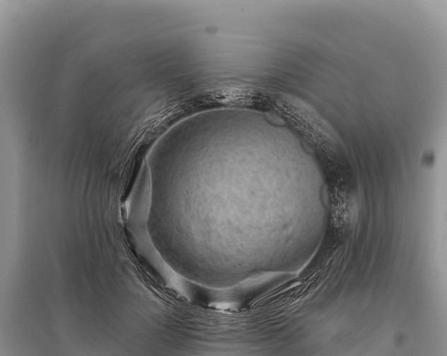 X0000096170748200801251150