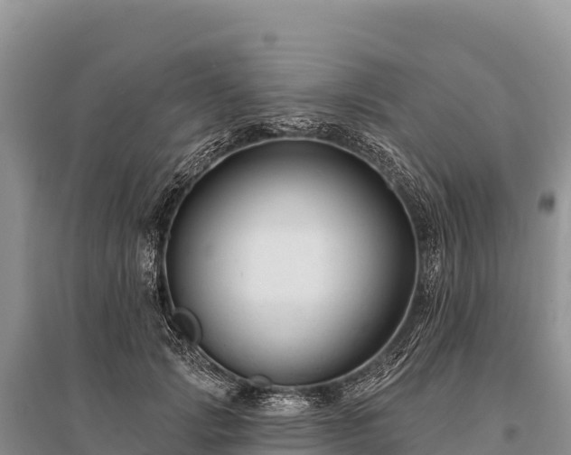 X0000096170749200801251150