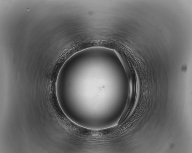 X0000096170750200801251150