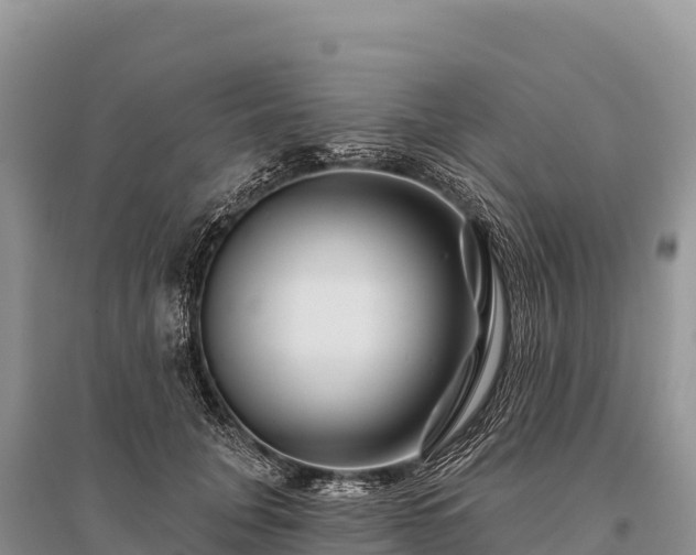 X0000096170751200801251150