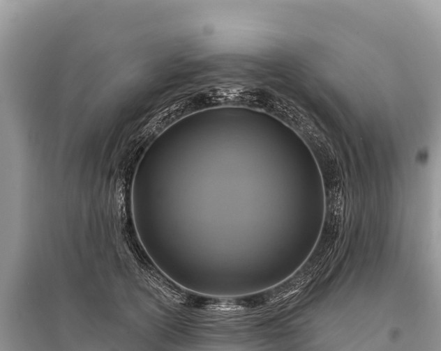 X0000096170754200801251150