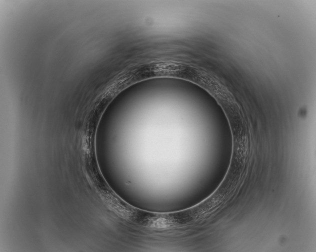 X0000096170755200801251150