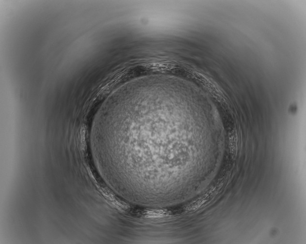 X0000096170757200801251150