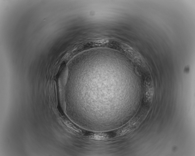 X0000096170758200801251150