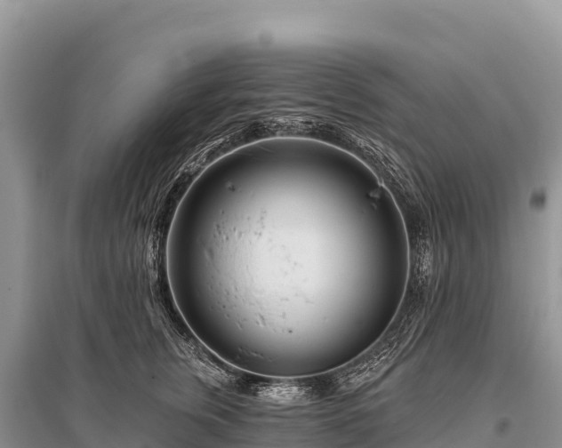 X0000096170759200801251150