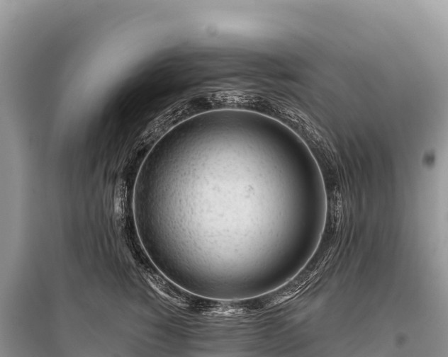 X0000096170760200801251150